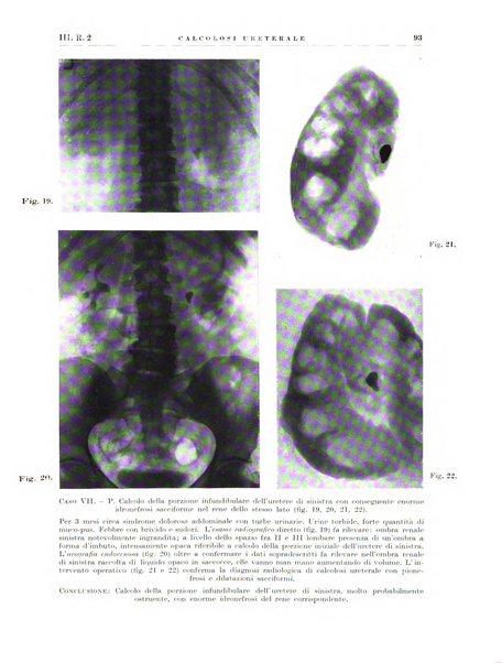 Radiologia e fisica medica. Sezione 2, Rassegna