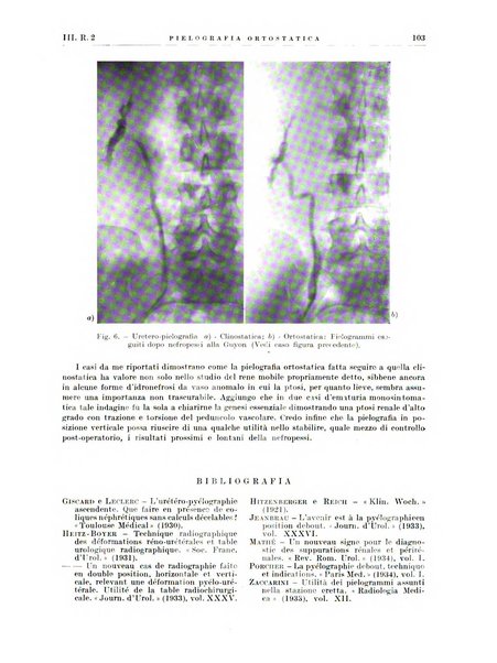 Radiologia e fisica medica. Sezione 2, Rassegna