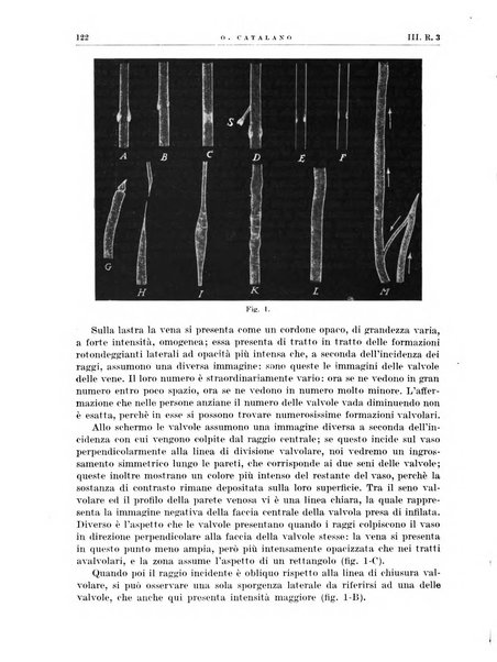 Radiologia e fisica medica. Sezione 2, Rassegna