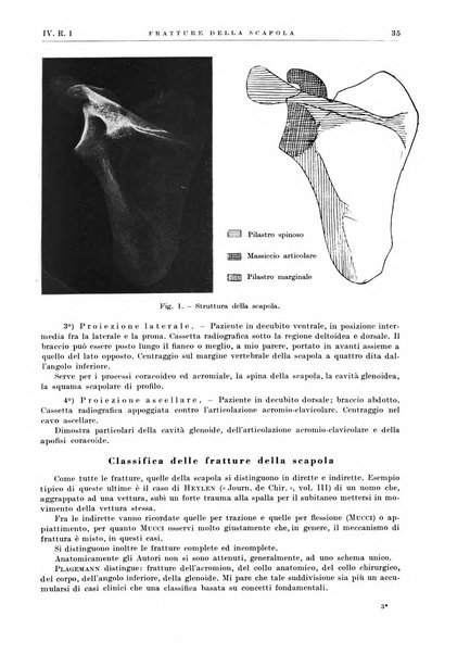 Radiologia e fisica medica. Sezione 2, Rassegna