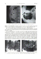 giornale/PUV0113779/1937/unico/00000094