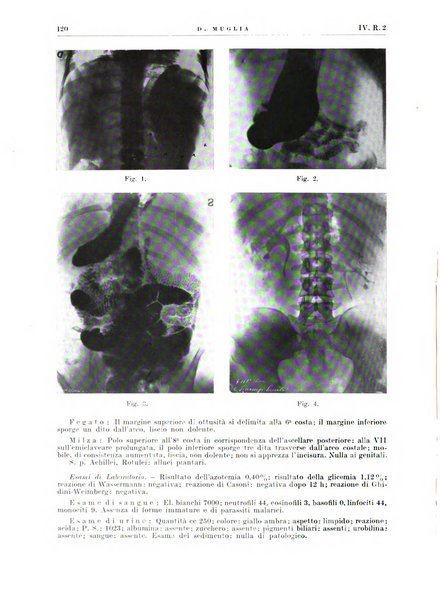 Radiologia e fisica medica. Sezione 2, Rassegna