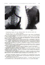 giornale/PUV0113779/1937/unico/00000139