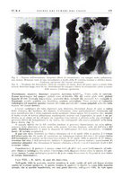 giornale/PUV0113779/1937/unico/00000201