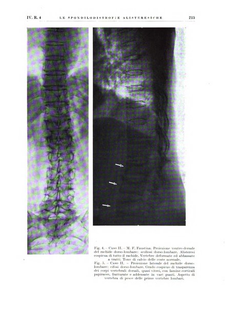 Radiologia e fisica medica. Sezione 2, Rassegna