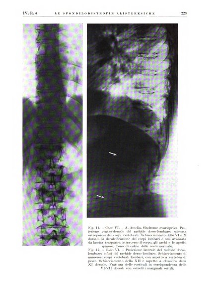 Radiologia e fisica medica. Sezione 2, Rassegna