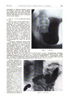 giornale/PUV0113779/1937/unico/00000273