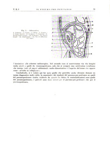 Radiologia e fisica medica. Sezione 2, Rassegna