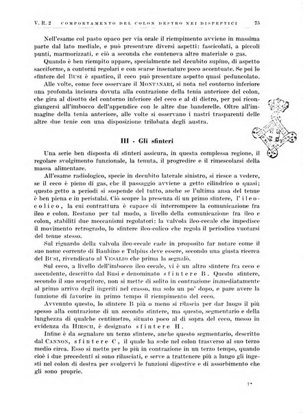 Radiologia e fisica medica. Sezione 2, Rassegna