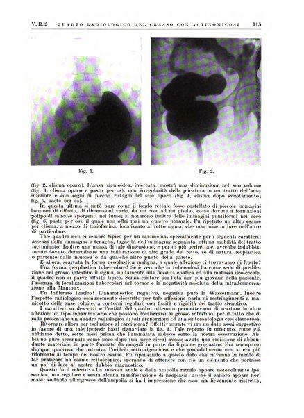 Radiologia e fisica medica. Sezione 2, Rassegna