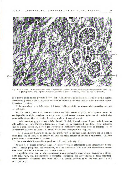 Radiologia e fisica medica. Sezione 2, Rassegna