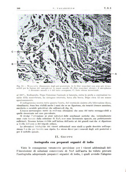 Radiologia e fisica medica. Sezione 2, Rassegna