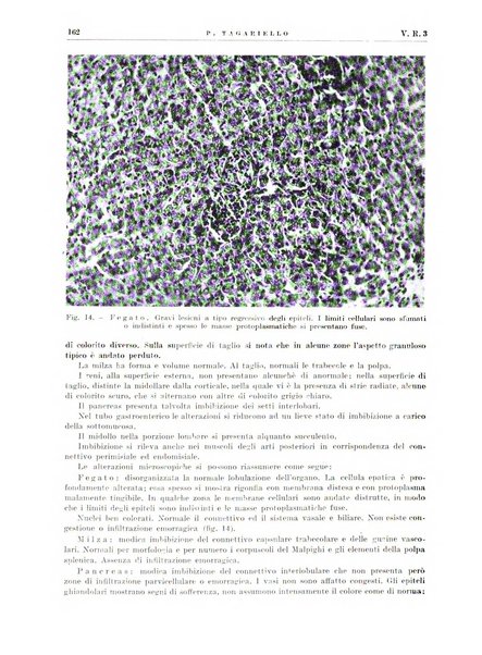 Radiologia e fisica medica. Sezione 2, Rassegna