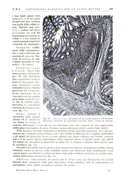 Radiologia e fisica medica. Sezione 2, Rassegna