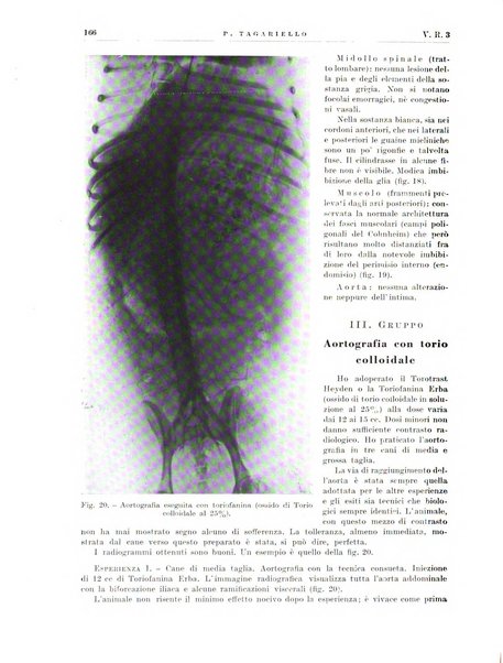 Radiologia e fisica medica. Sezione 2, Rassegna