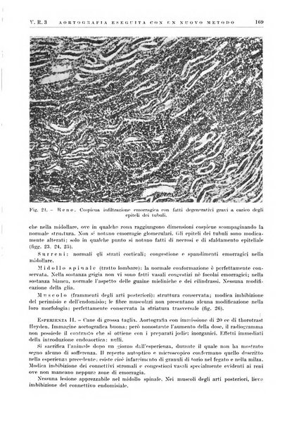 Radiologia e fisica medica. Sezione 2, Rassegna