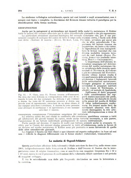 Radiologia e fisica medica. Sezione 2, Rassegna