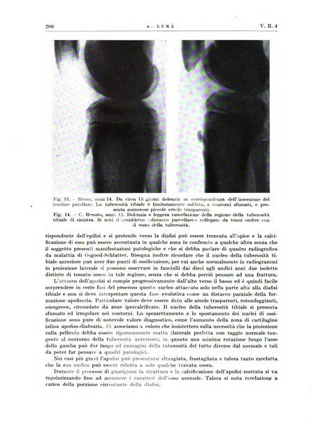 Radiologia e fisica medica. Sezione 2, Rassegna