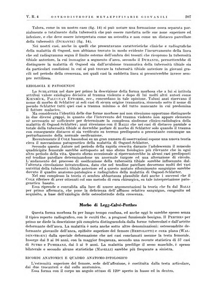 Radiologia e fisica medica. Sezione 2, Rassegna