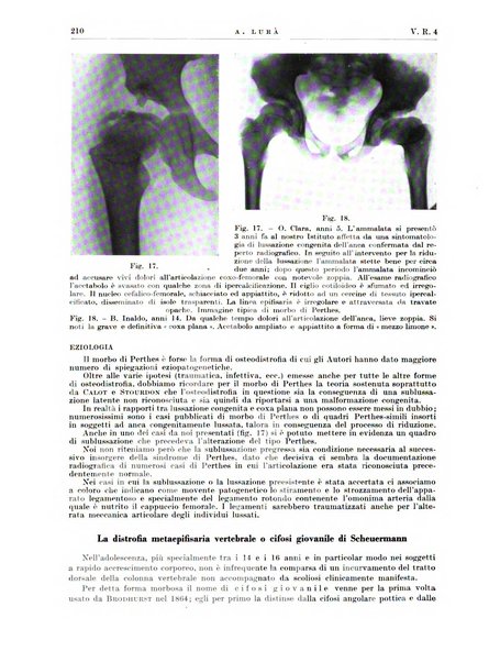 Radiologia e fisica medica. Sezione 2, Rassegna