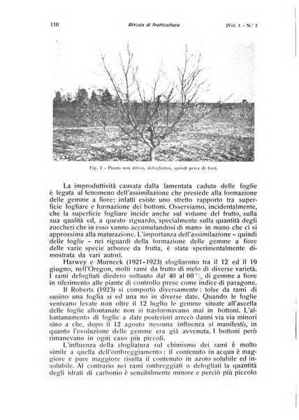 Rivista di frutticultura