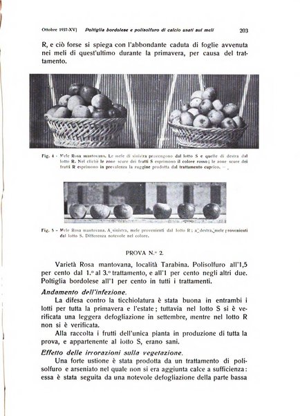 Rivista di frutticultura