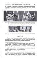 giornale/PUV0114528/1937/unico/00000217