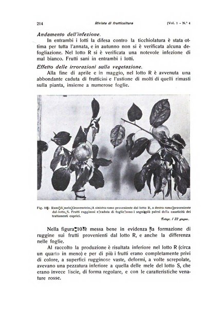 Rivista di frutticultura