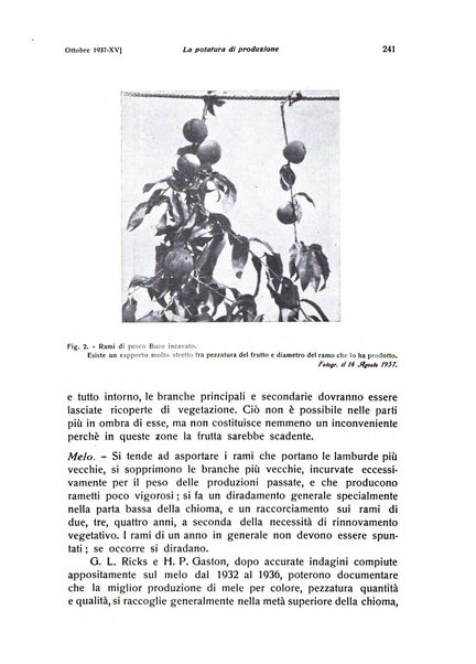 Rivista di frutticultura