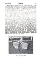 giornale/PUV0114528/1938/unico/00000059