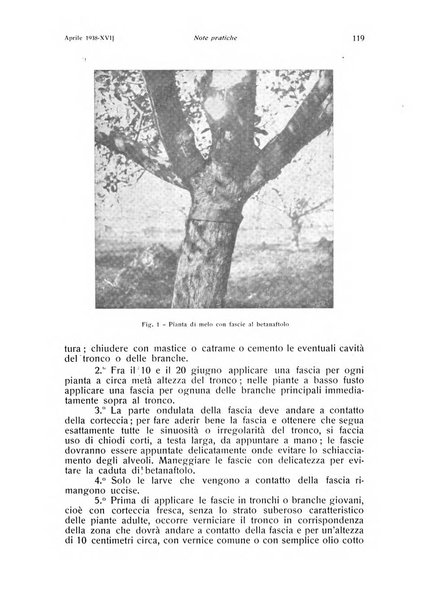 Rivista di frutticultura