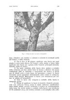 giornale/PUV0114528/1938/unico/00000127