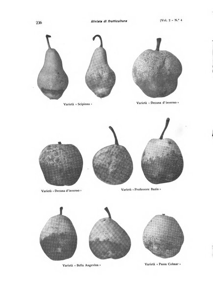 Rivista di frutticultura