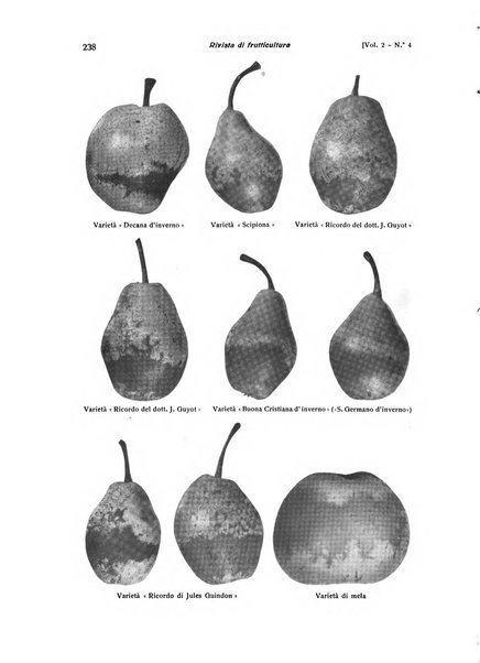 Rivista di frutticultura