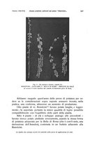 giornale/PUV0114528/1938/unico/00000259