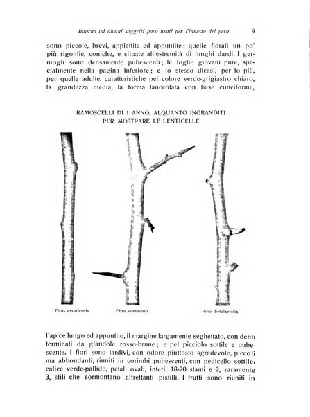 Rivista di frutticultura