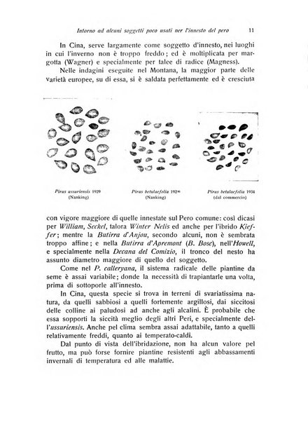 Rivista di frutticultura