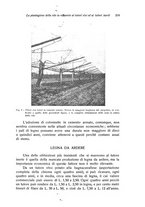 giornale/PUV0114528/1939/unico/00000229