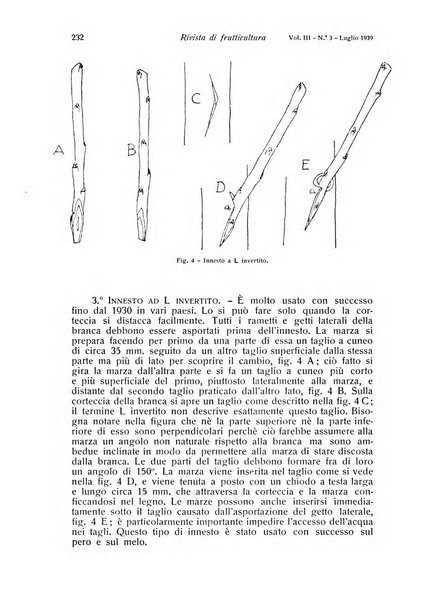 Rivista di frutticultura