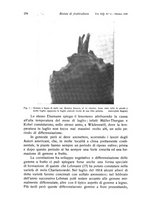giornale/PUV0114528/1939/unico/00000288