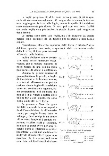 Rivista di frutticultura