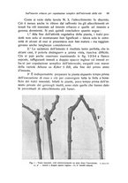 giornale/PUV0114528/1940/unico/00000077
