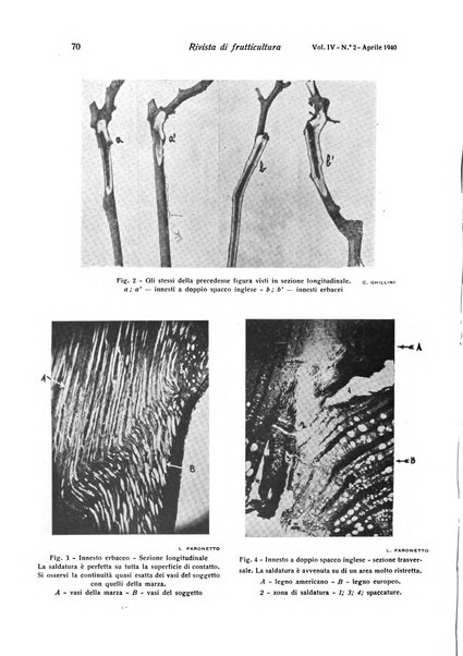 Rivista di frutticultura