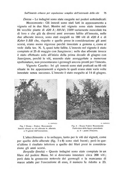 Rivista di frutticultura