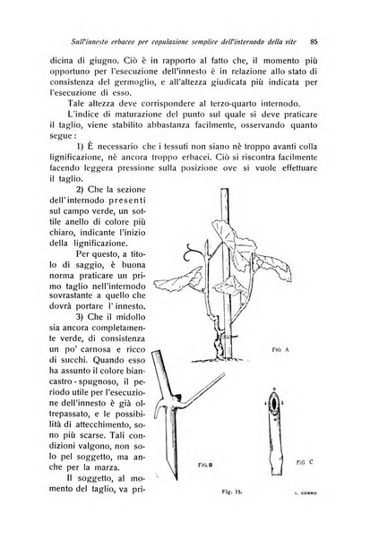 Rivista di frutticultura