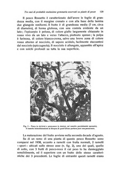 Rivista di frutticultura