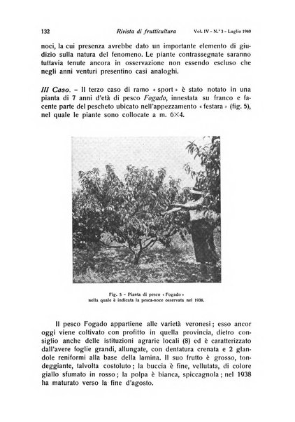 Rivista di frutticultura