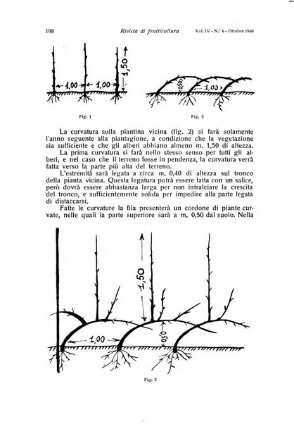 Rivista di frutticultura