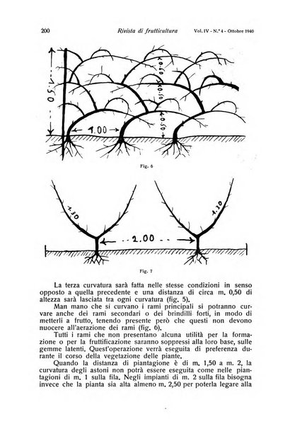 Rivista di frutticultura