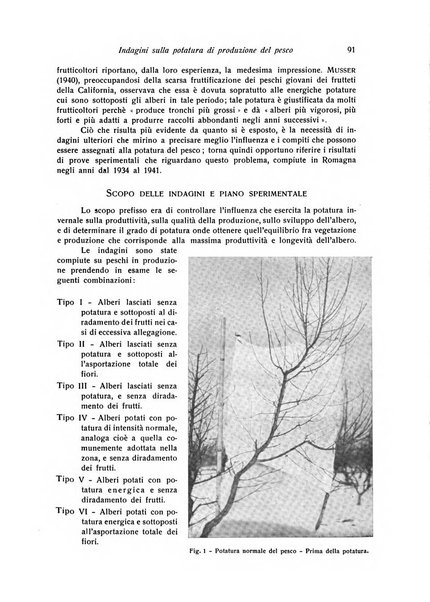 Rivista di frutticultura